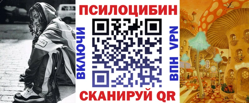 закладка  Дятьково  Псилоцибиновые грибы прущие грибы 