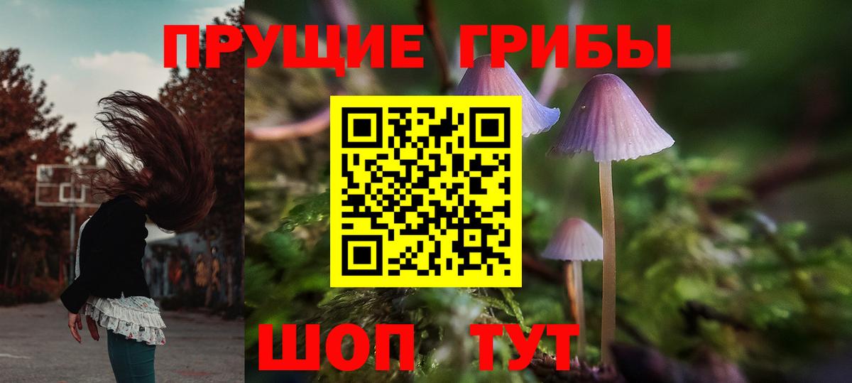 Дятьково  Псилоцибиновые грибы мухоморы  Галлюциногенные грибы мухоморы  купить наркотик  Вход с VPN 